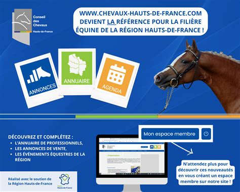 Conseil Des Chevaux Hauts De France Nouveaut Le Site Devient La