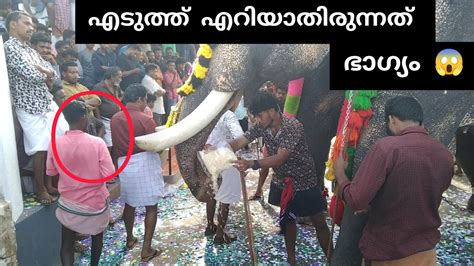 എടുത്ത് എറിയാതിരുന്നത് ഭാഗ്യം😱 Kerala Elephant Youtube