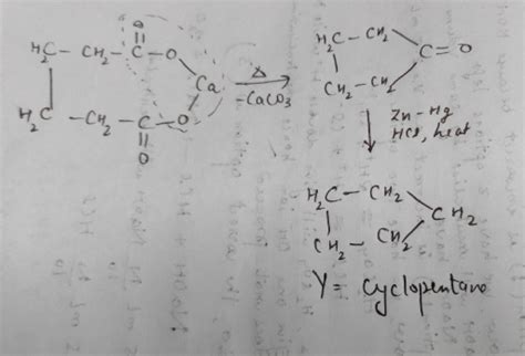 Plss Solve This Identify The Product Y In The Following Reaction Sequence 1 Pentane 2