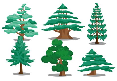 Cedar tree vectors 98165 Vector Art at Vecteezy