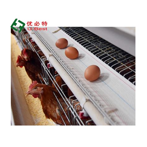 Large Chicken House Design Battery Egg Layer Poultry Chicken Cage