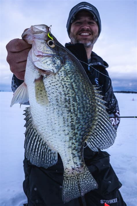 Trophy Crappie On Lotw Northland Fishing Tackle