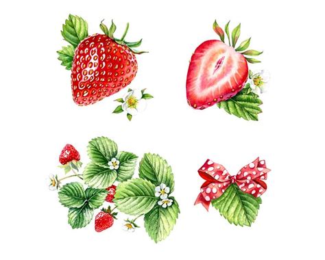 Watercolor Fruits And Berries On Behance Watercolor Fruit Fruit