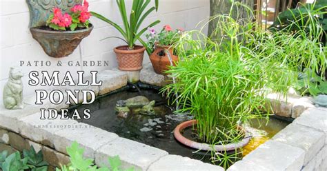 Diy Container Water Garden