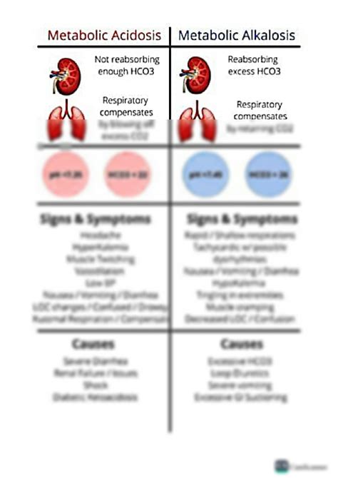 Solution Difference Between Metabolic Acidosis And Metabolic Alkalosis