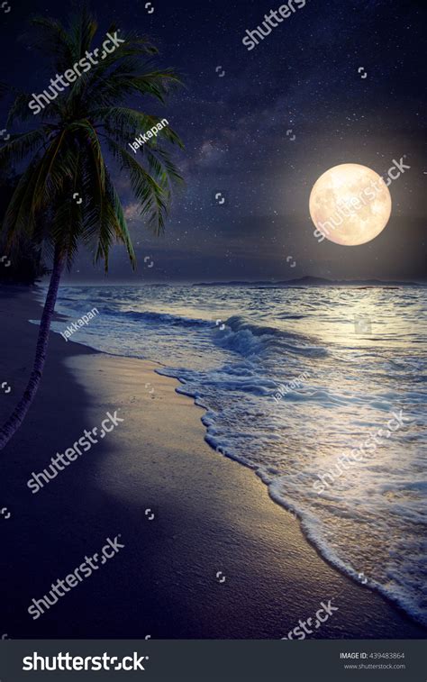 445 Caribbean Moonlight Images, Stock Photos & Vectors | Shutterstock