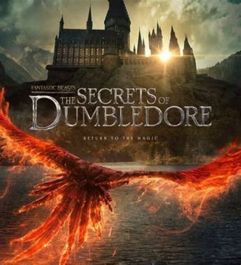 Novo Filme Do Universo De Harry Potter Estreia Em 2022 Belébr