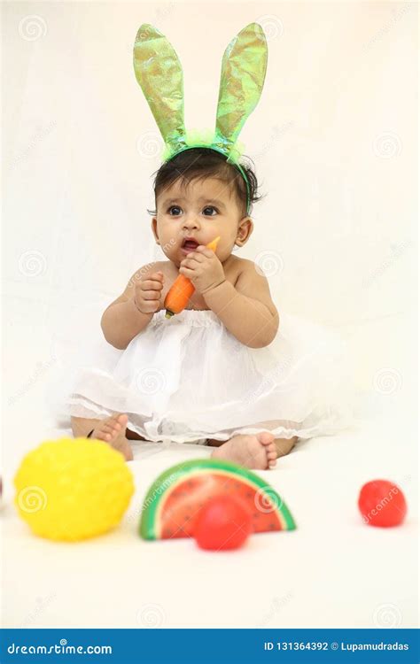 Bunny Baby eating carrot stock photo. Image of bunny - 131364392