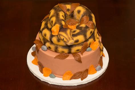 Snake Cake Modeled After A Ball Python Snake Cakes Cake Cake Models