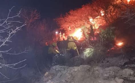 Se afectaron 80 hectáreas de la Sierra de San Miguelito por incendio