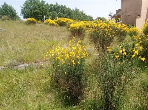 Torre Cajetani Fiuggi Villino In Residence Livelli Zona Rocca Di