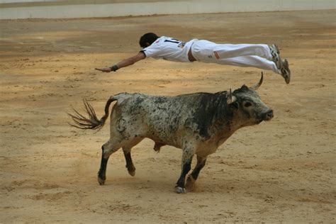 Corriendo De Toro Telegraph