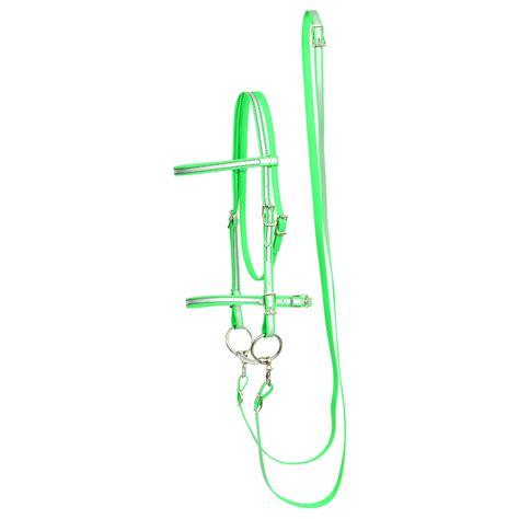 Order English Convert Bridle Made From Beta Biothane From Two Horse Tack