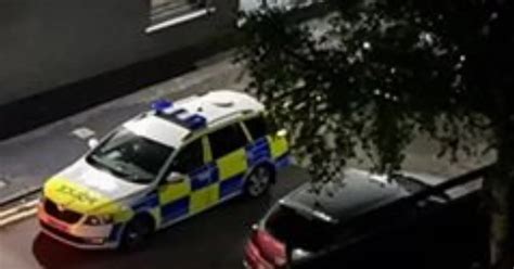 Screaming Woman Dragged In Bush And Stripped Half Naked In Terrifying