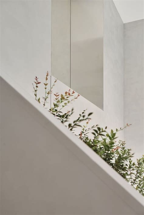 Plants Growing On The Side Of A White Wall Next To A Mirror And Sink In