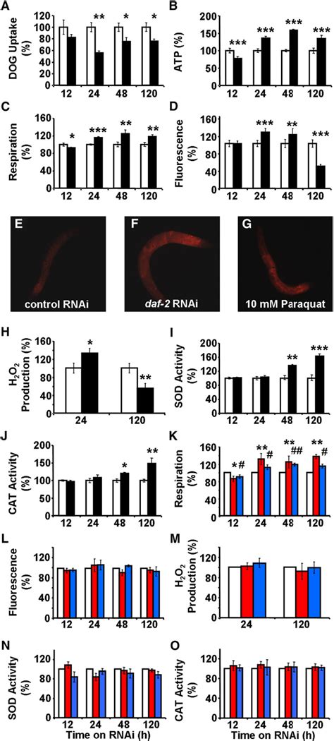 mitochondria-nucleus signaling pathway | Semantic Scholar