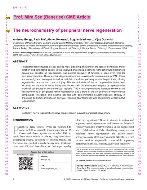 (PDF) The neurochemistry of peripheral nerve regeneration