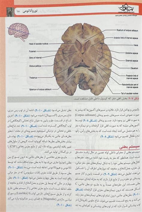 کتاب آناتومی گری برای دانشجویان نورو آناتومی جلد چهارم 2024