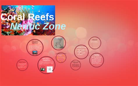 Neritic Zone- Coral Reefs by Melissa Gotti on Prezi