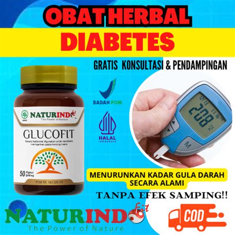 Jual Obat Diabetes Diabet Melitus Paling Ampuh Gula Darah Kering Basah