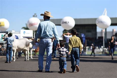 Expozebu maior feira de gado zebu rende R 190 milhões e aposta na