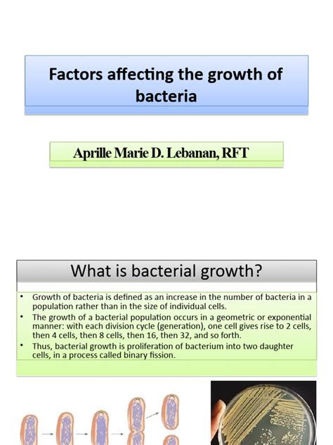 Factors Affecting Bacterial Growth | PDF