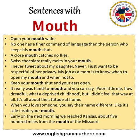 Sentences With Mouth Mouth In A Sentence In English Sentences For