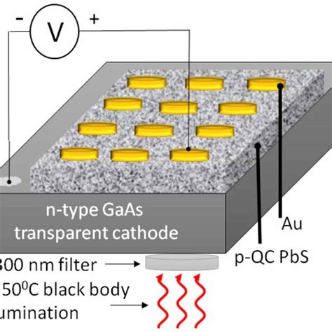 Schematic Cross Section View Of The Swir Photodetectors With A Download Scientific Diagram