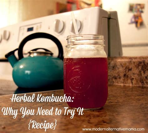 Herbal Kombucha Why You Need To Try It Recipe