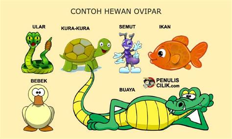 20 Contoh Hewan Ovipar Penulis Cilik