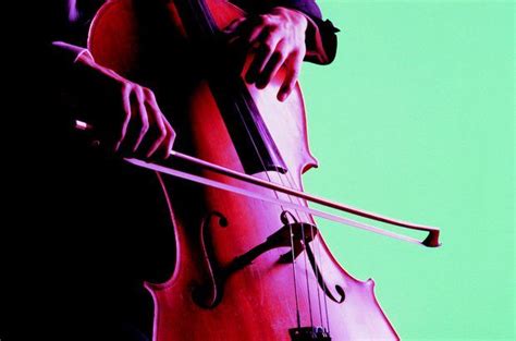 ¿cuál Es La Diferencia Entre Un Violonchelo Y Un Contrabajo