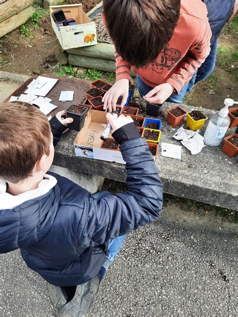 Cest reparti pour une nouvelle saison au potager Collège Vallee Du Lys