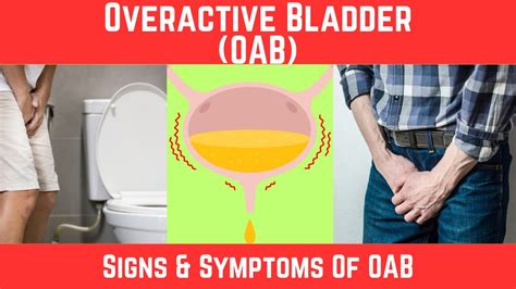 Overactive Bladder Symptoms Bladder Retraining Treatment Of OAB