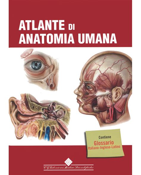 Libro Di Anatomia Umana Atlante Di Anatomia Umana