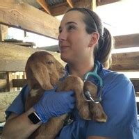 Lynette Ferrer DVM - Banfield Pet Hospital | LinkedIn