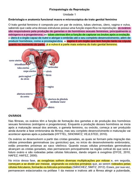 Fisiopatologia Da Reprodução Animal Prova - Fisiopatologia da Reprodução Animal | PDF | Testículo | Sexo