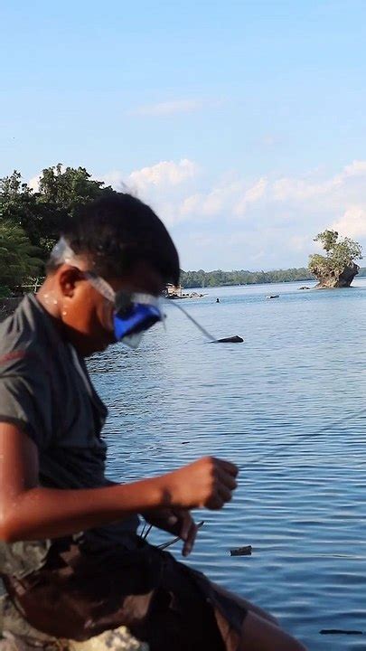 Panah Ikan Di Laut Video Dailymotion