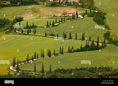 Lined With Green Trees Hi Res Stock Photography And Images Alamy