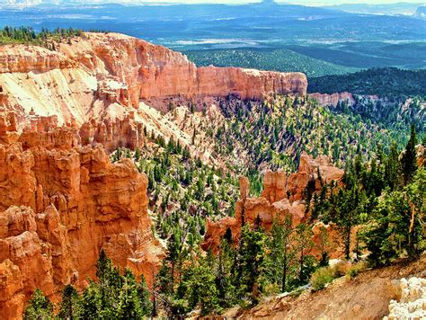 Bristlecone Pine Loop Trail Bryce Canyon National Park Utah Photograph By Ruth Hager Fine