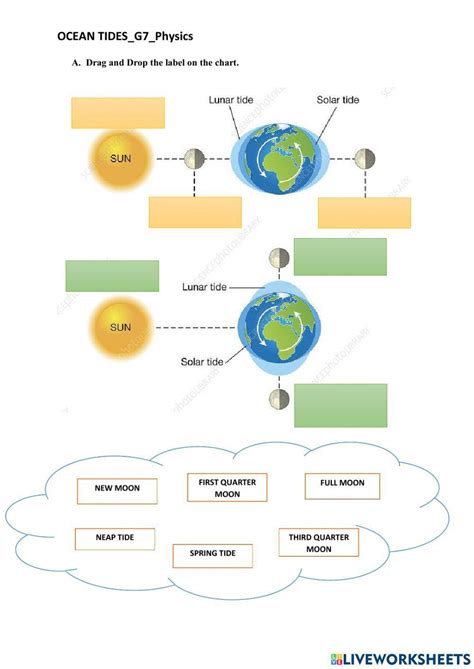 Tides Worksheet Live Worksheets Worksheets Library