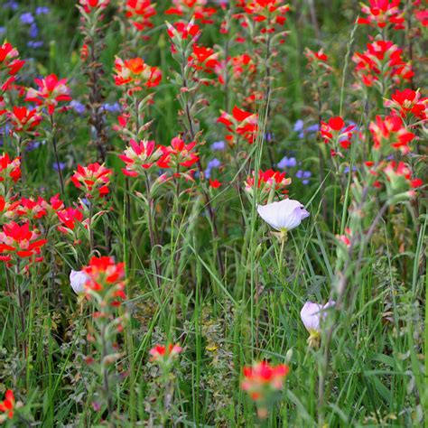 Stand Out From The Crowd Photograph By Kristina Deane Pixels