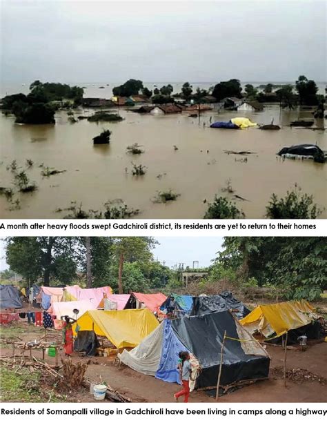 Maharashtra floods: The tribal families living on a highway with animals - Peoples Daily Newspaper