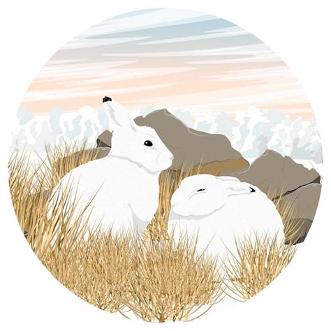 Premium Vector Round Composition Two Cute White Polar Hares Are