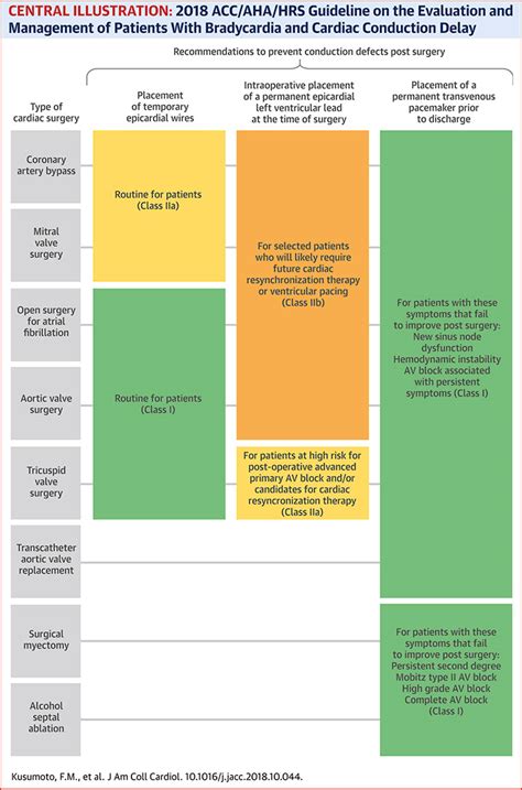 Aha Guidelines Bradycardia Low Price Gbu Presnenskij Ru