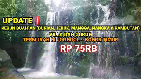 Update ‼️ Kebun Buah Villa Dan Curug Shm Rp 75rbm² Termurah Di