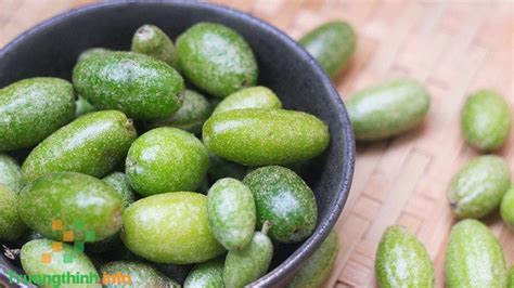 qua nhot la qua gi qua nhot  tac dung gi hinh anh trai nhot