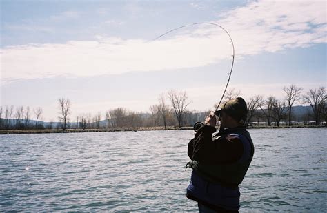 Carp – Finger Lakes Angling Zone