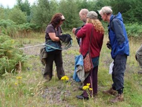 Dalbeattie Forest Community Partnership - Dalbeattie Matters