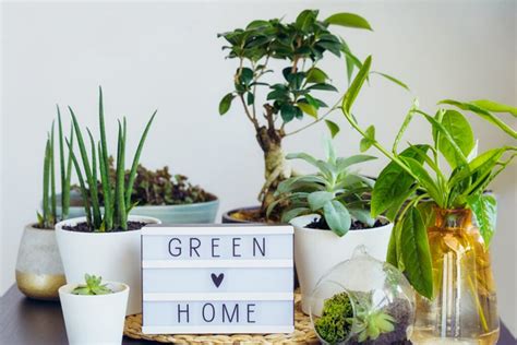 6 Eco-Friendly Home Products You Need To See – Home & Garden