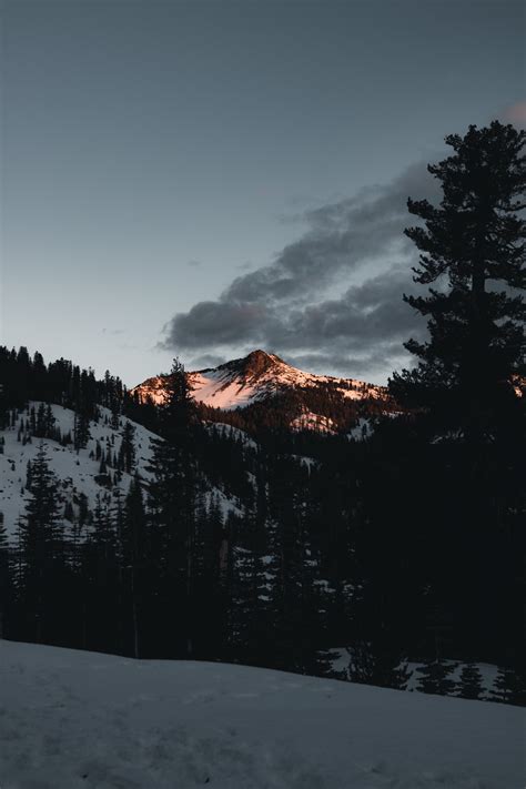 Wallpaper Nature Landscape Mountains Pine Trees Clouds Vertical